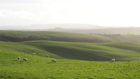 On Llanfair Hill, November 2025