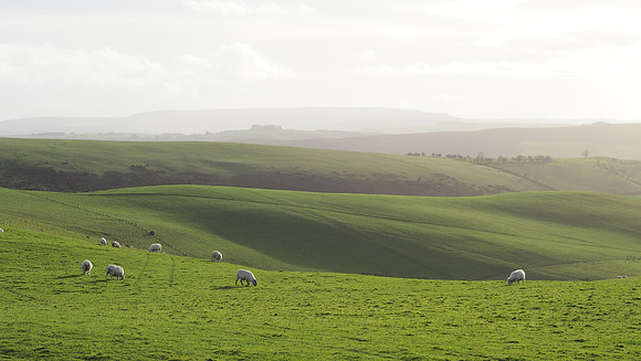 On Llanfair Hill, November 2025