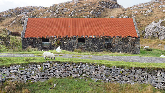 Isle of Harris, October 2025
