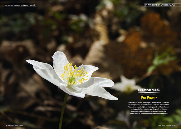 Ad in 'Professional Photographer'