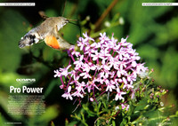 Ad in 'Professional Photographer'