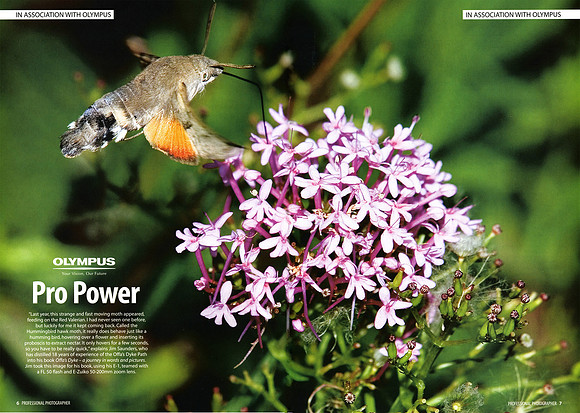 Ad in 'Professional Photographer'