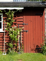 Swedish Red shed, May 2026
