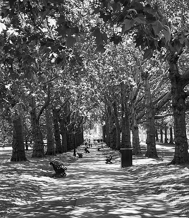 Green Park, London, June 2026