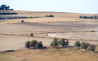 Ploughing the Radnorshire badlands, Aug 2026