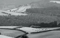 Across Cwm Whitton, Aug 2026
