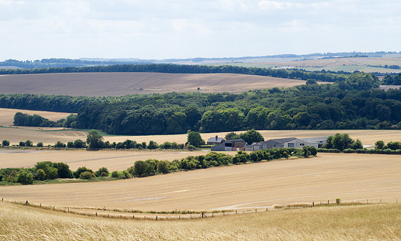 Harvest time, Berkshire Downs, July 2025